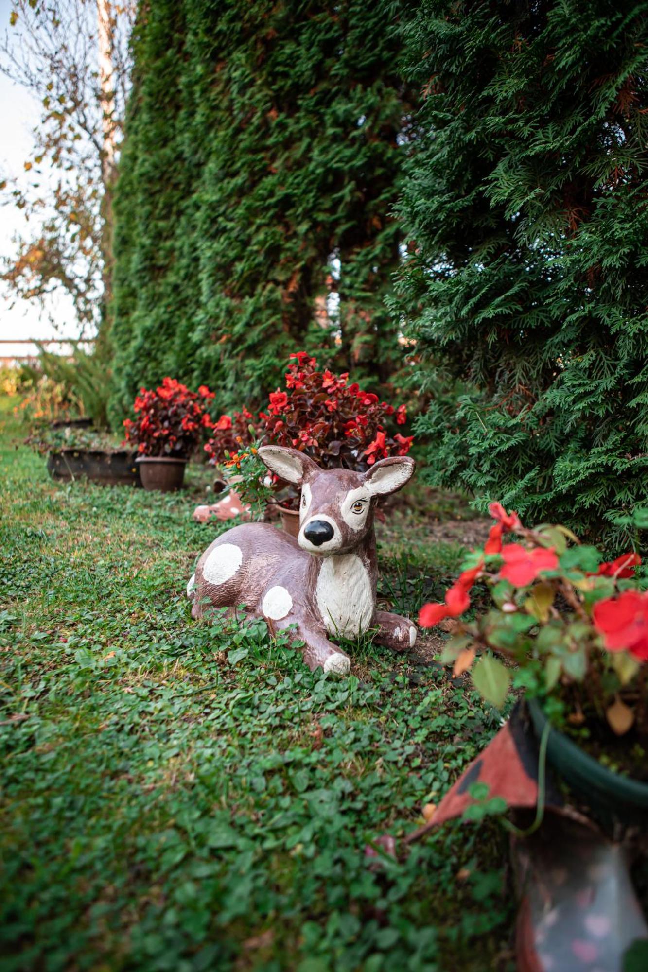 Vila Prenociste Lelic Valjevo Exteriér fotografie