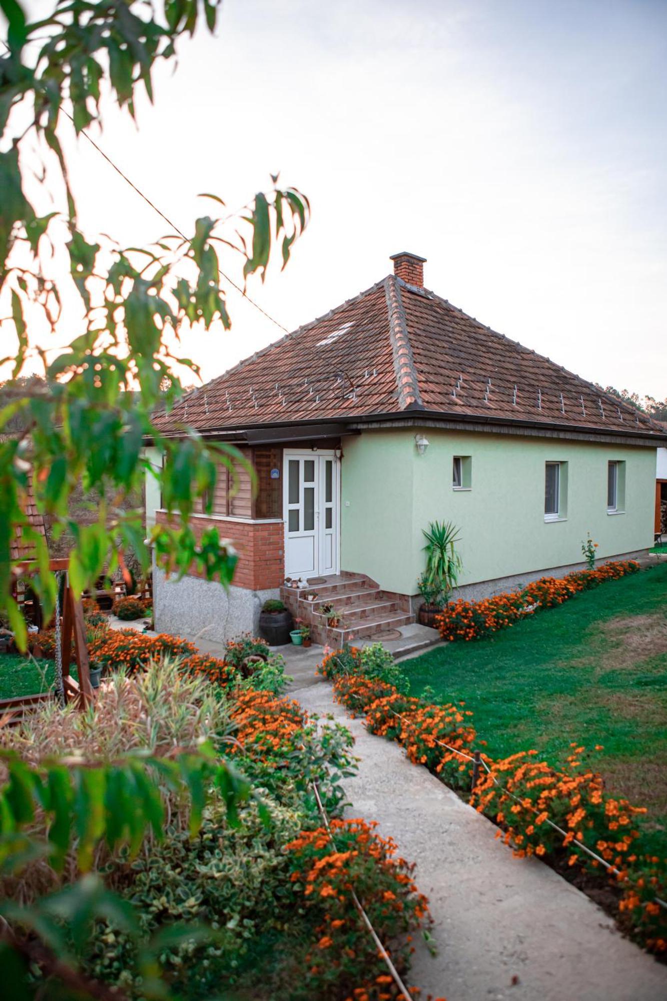 Vila Prenociste Lelic Valjevo Exteriér fotografie